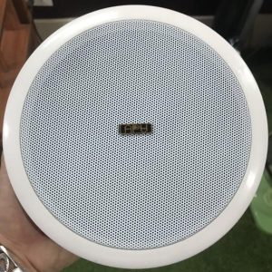 Loa âm trần APU CS10T