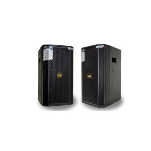 Loa Full CAVS P10 Pro