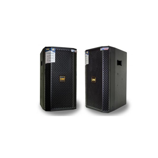 Loa Full CAVS P10 Pro