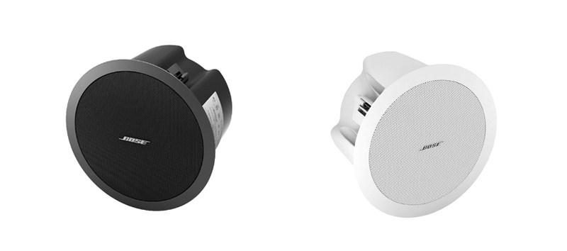 Bose Freespace DS 100F