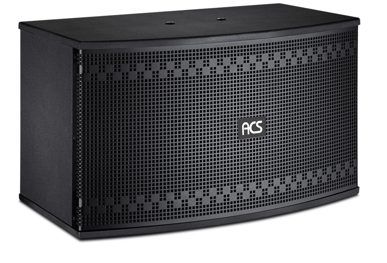 Loa ACS DL-310