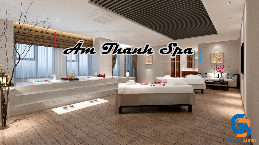 Top 10 loa cho spa được ưa chuộng nhất hiện nay