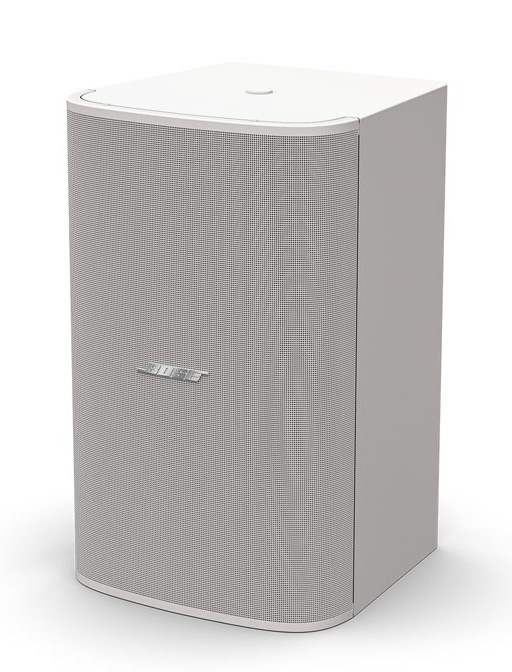 Loa Bose DesignMax DM10S-Sub