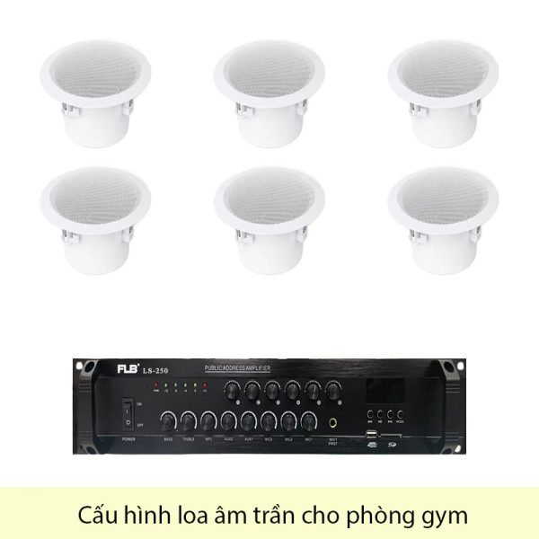 Cấu Hình Loa Âm Trần Cho Phòng Gym