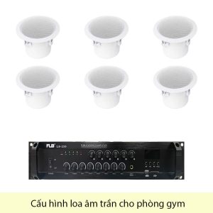 Cấu Hình Loa Âm Trần Cho Phòng Gym