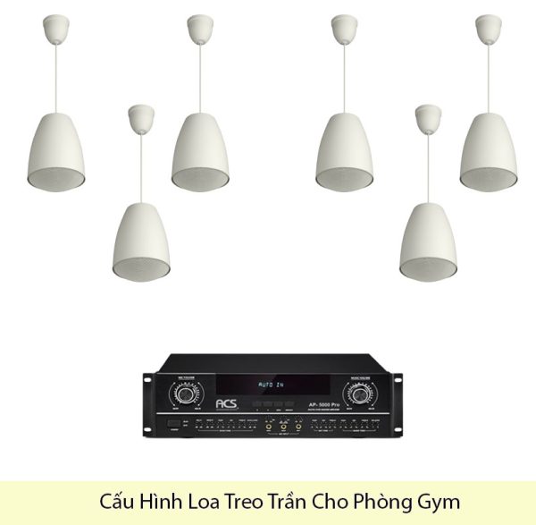 Cấu Hình Loa Treo Trần Cho Phòng Gym