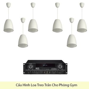 Cấu Hình Loa Treo Trần Cho Phòng Gym