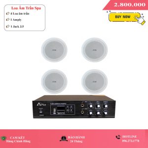 Hệ Thống Loa Âm Trần Giá Rẻ Cho Spa