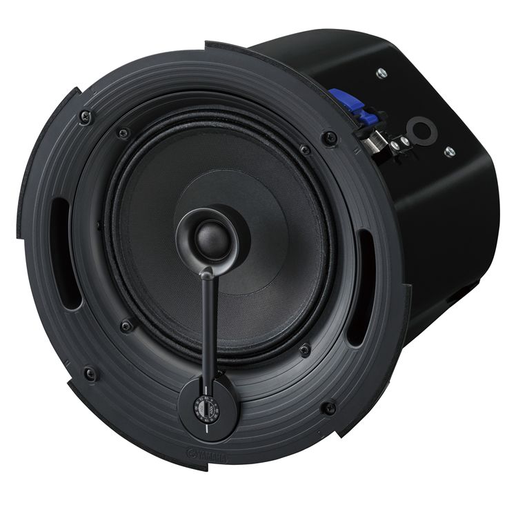 Loa âm trầm Yamaha VXC8