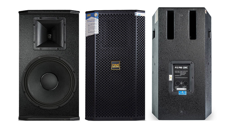 Loa Cavs P12 Pro