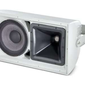 Loa JBL AW266-LS