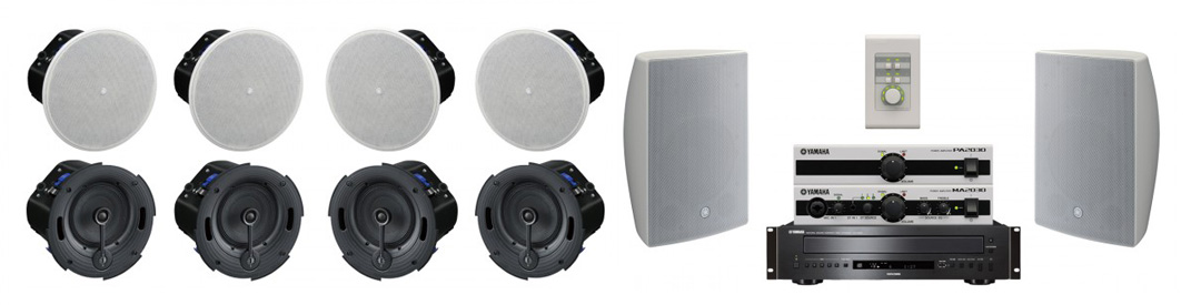 le1baafp-c491e1bab7t-c3a2m-thanh-phc3b2ng-he1bb8dp