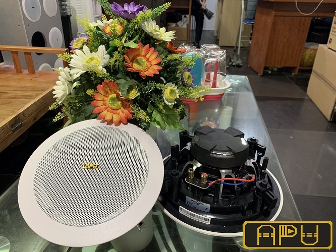 Loa âm trần Bluetooth APU CS20B