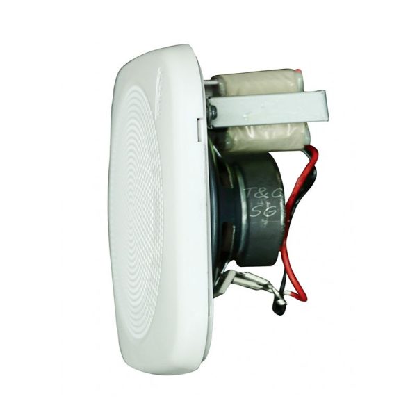 Loa âm trần Inter-M CS-301FQ
