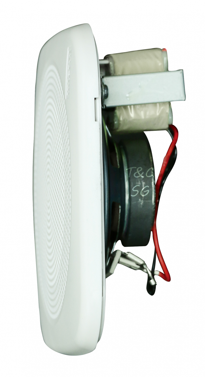 Loa âm trần Inter-M CS-301FQ