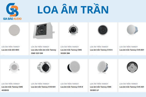 Loa âm trần dành cho quán bida club