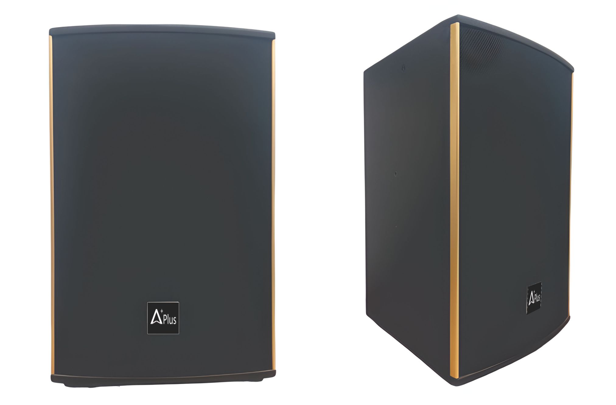 Loa Aplus DT-12