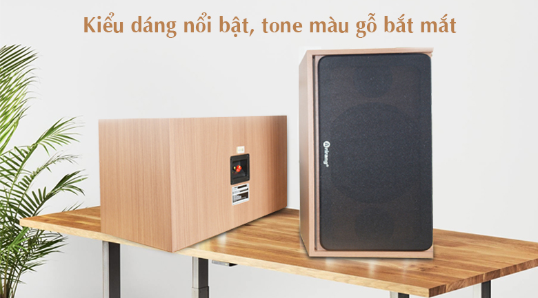 Loa karaoke Arirang Jant VIII