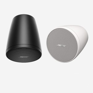 Loa Bose FreeSpace FS2P