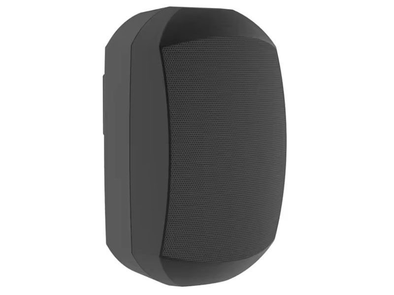 Loa treo tường FLB FT-605