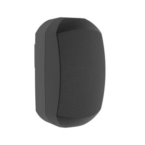 Loa Treo Tường FLB FT-606