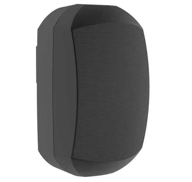 Loa treo tường FLB FT-606