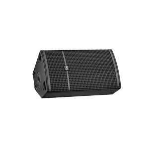 Loa Hội Trường ACS MU12