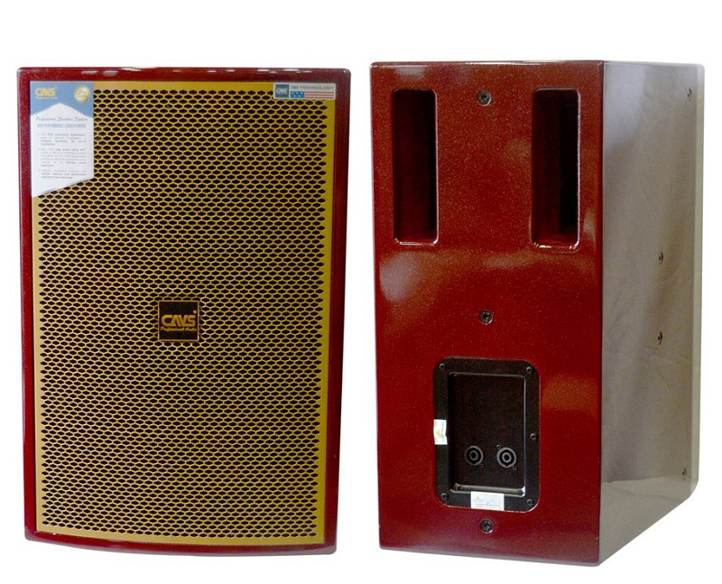 Loa Cavs LS812