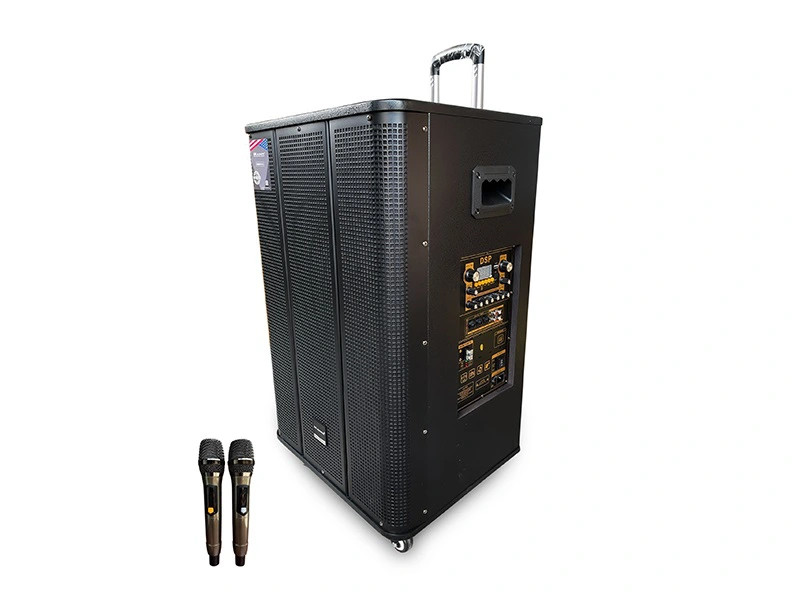 loa-karaoke-di-dong-mk-lk-815-1