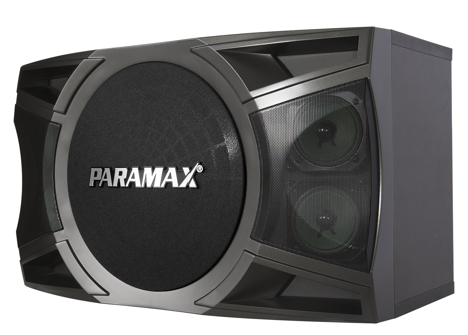 Loa karaoke Paramax P-1000