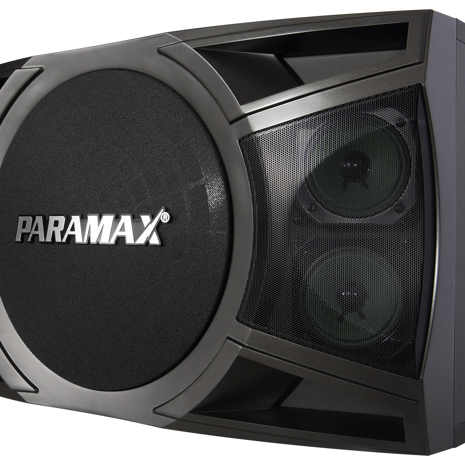 Loa karaoke Paramax P-1000