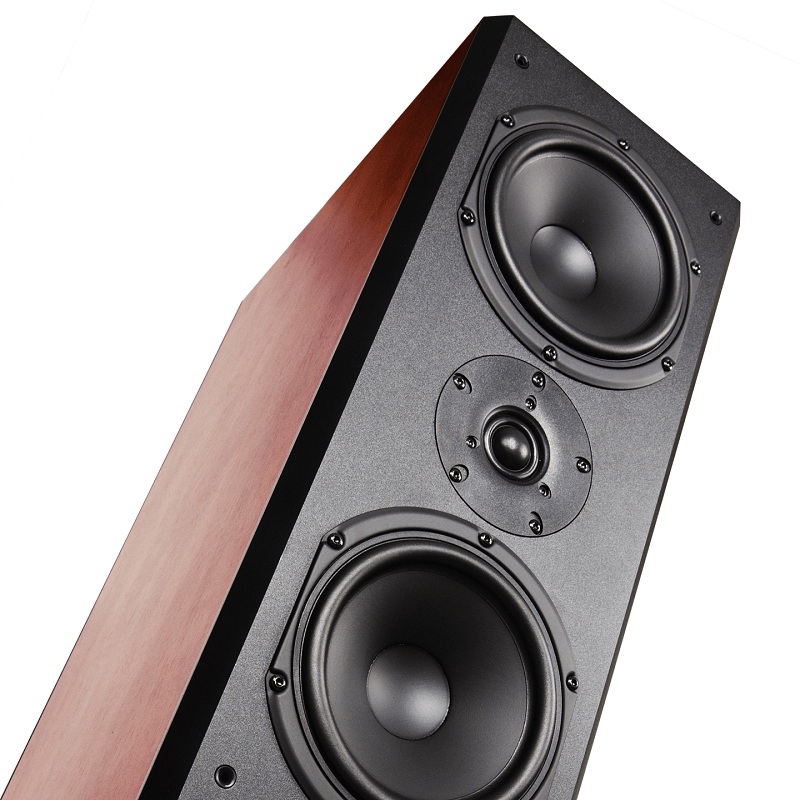Loa Paramax Platinum D-88