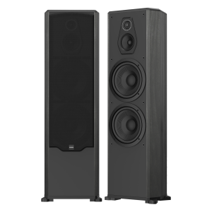 Loa Paramax Platinum FX-2500