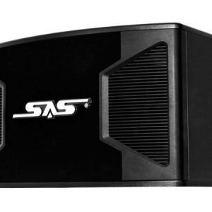 Loa karaoke Paramax SAS S300