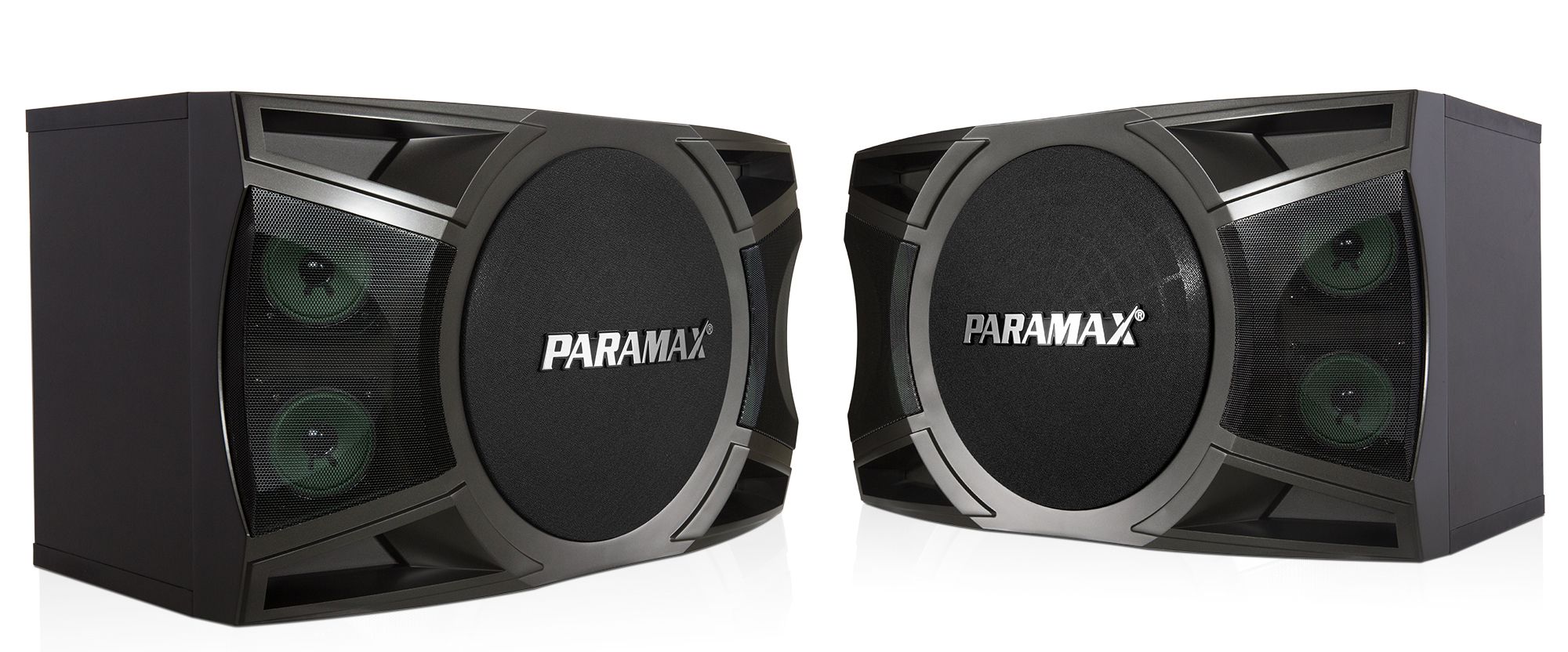 Loa Karaoke Paramax P-2000