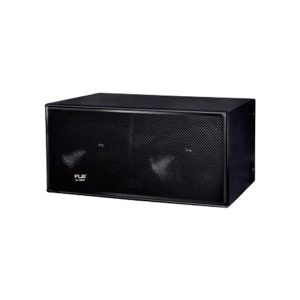 Loa Sub Đôi FLB WS-218