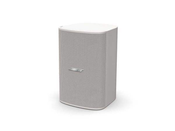 Loa treo tường Bose DesignMax DM-6SE