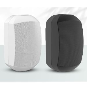 Loa Treo Tường Aplus A-956