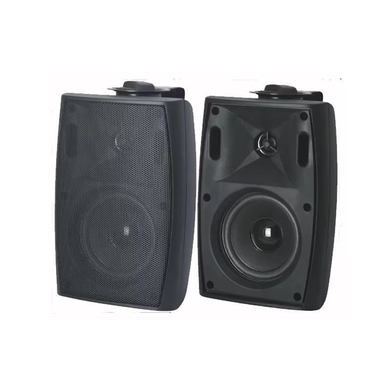 Loa Treo Tường FLB FT-206