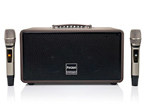 loa-xach-tay-forzen-f280-loa-karaoke-giai-tri-cao-cap-1659082613