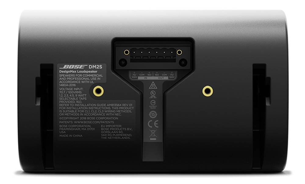 Loa Bose DesignMax DM2S