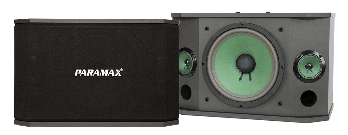 Loa karaoke Paramax K-850