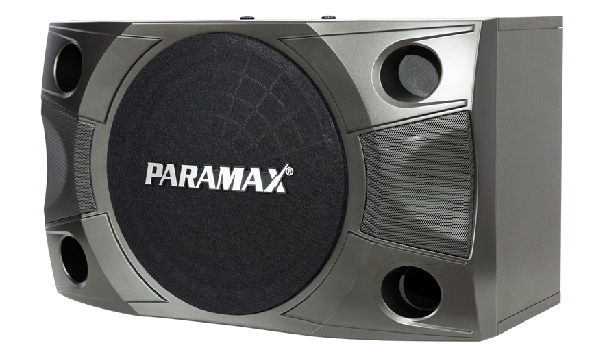 Loa karaoke Paramax P-850