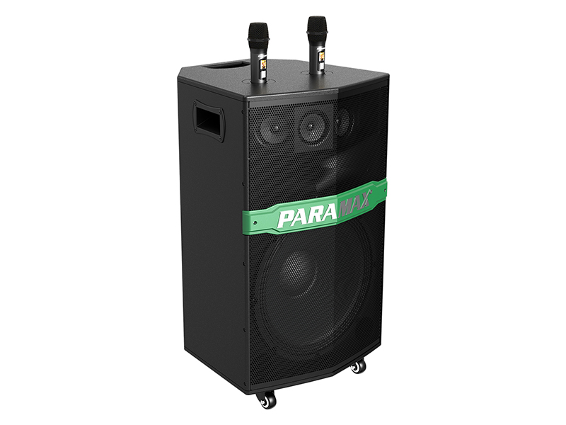 Loa Kéo Di Động Paramax Go-300S