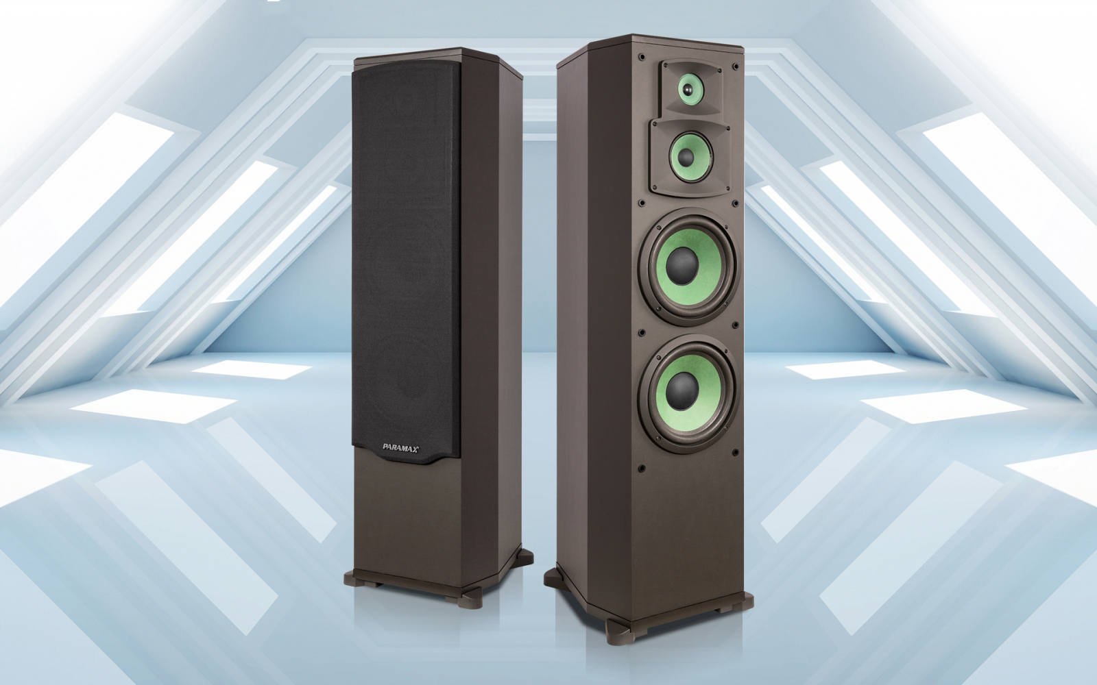 Loa Đứng Paramax F-1000