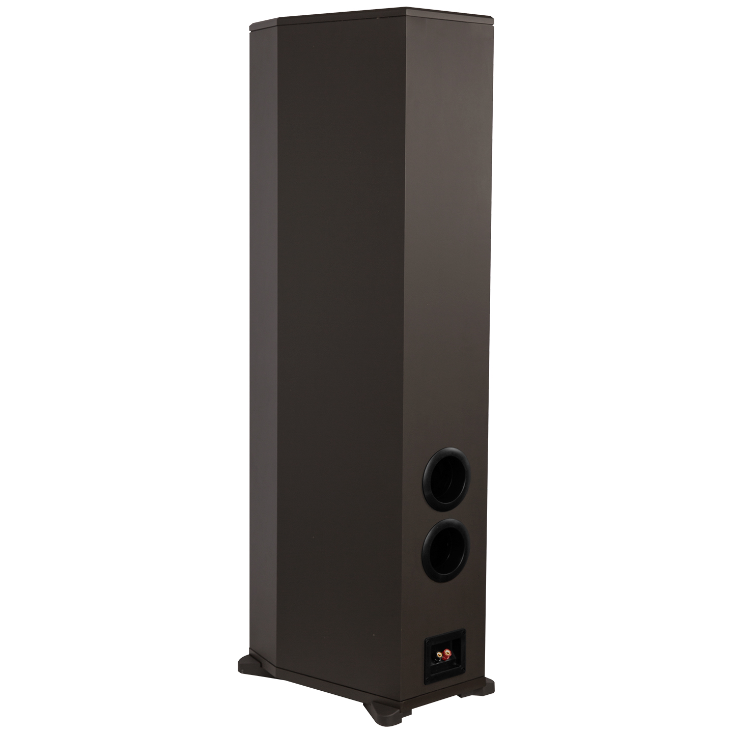 Loa Đứng Paramax F-2000