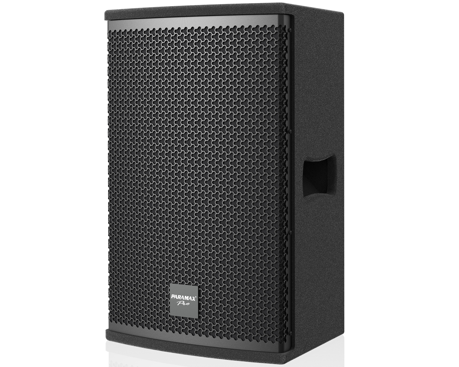 Loa karaoke Paramax PRO-S15