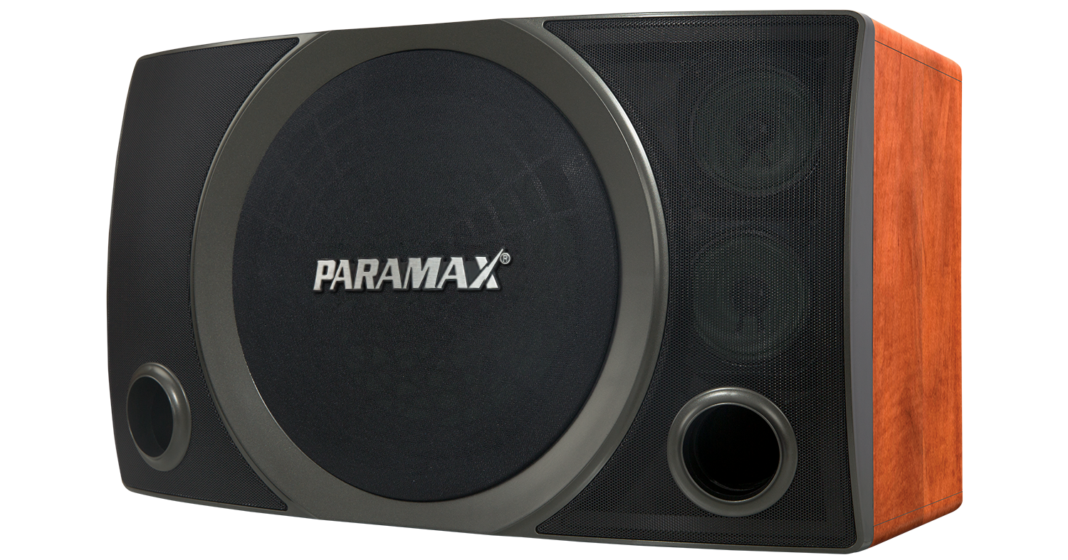 Loa karaoke Paramax SC-3500