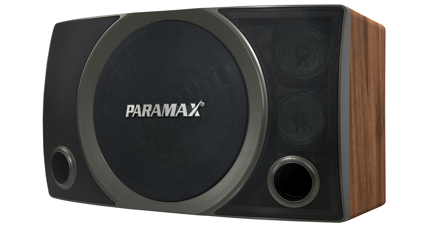 Loa karaoke Paramax SC-3500