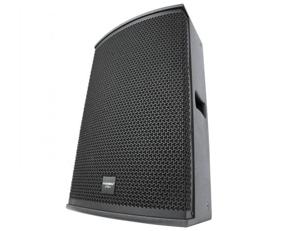 Loa karaoke Paramax PRO-S12